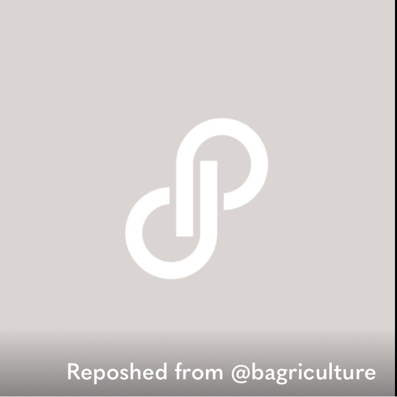 Authentic Louis Vuitton Sarah Wallet - pre-loved - Picture 15 of 16